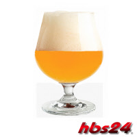 Strong Blond Braupaket hbs24